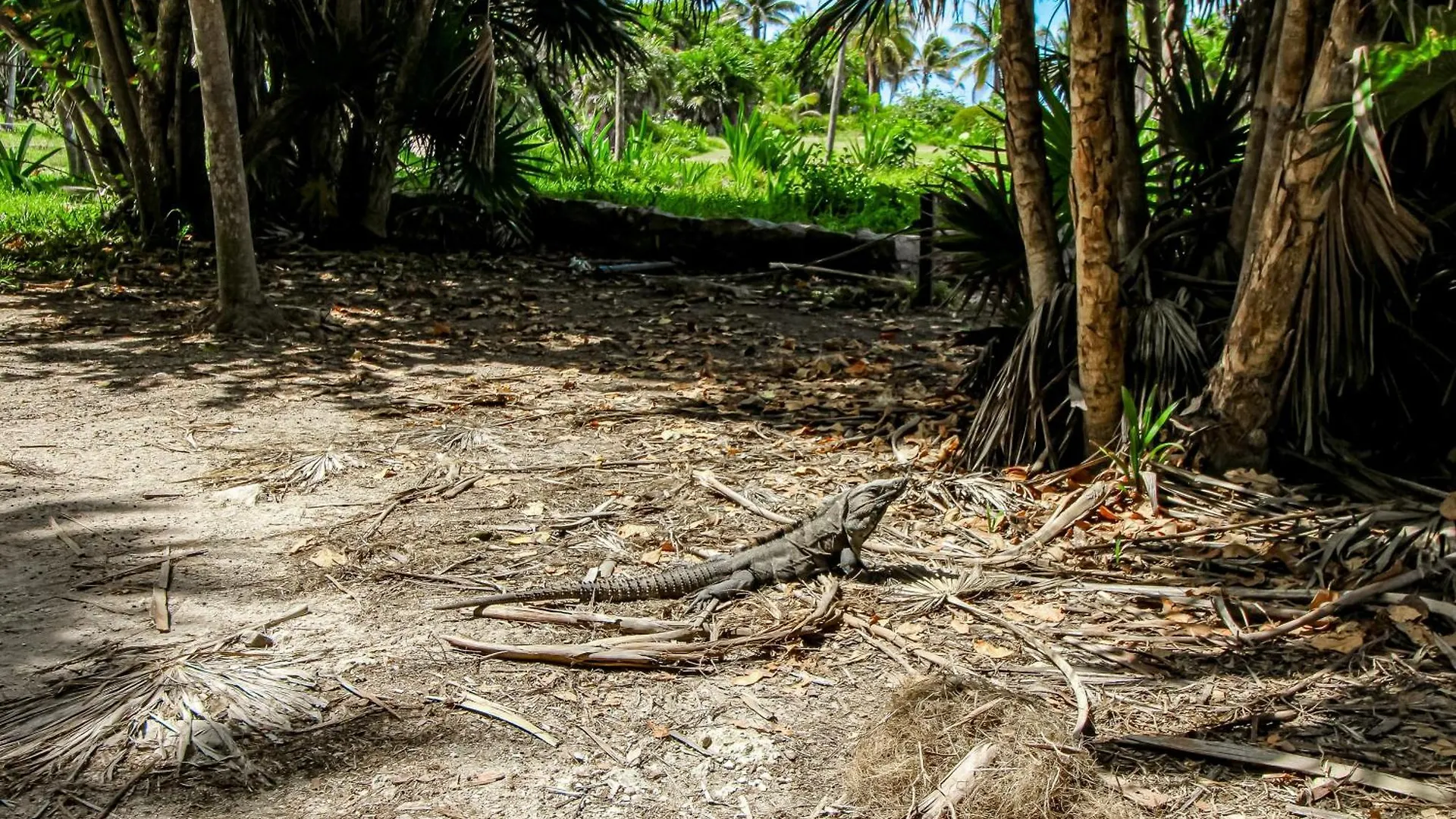 Ophelia 218 At Aldea Zama Apartment Tulum Mexico